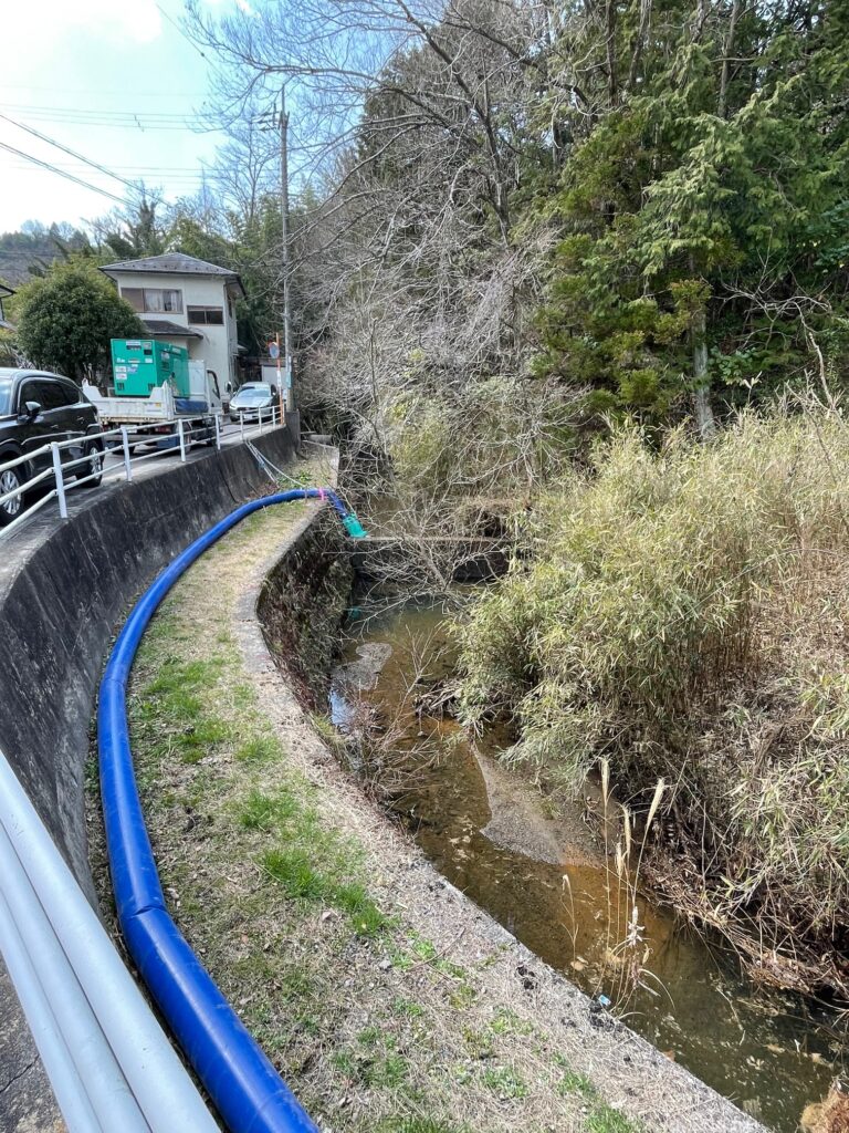 除去工事前の状況