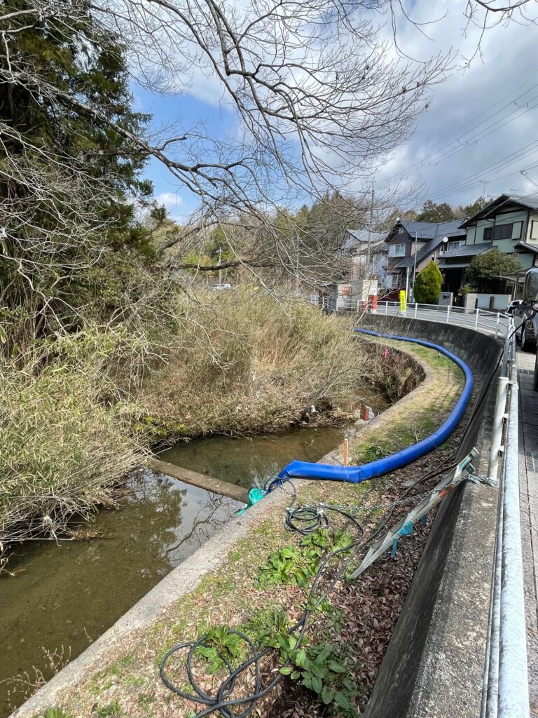 除去工事前の状況