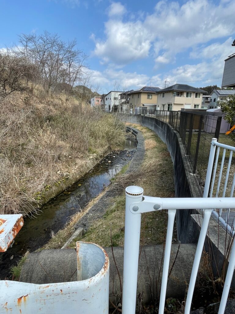 除去工事前の状況
