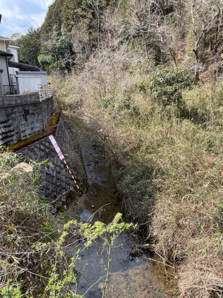 石部西区境界橋の上から(除去前）